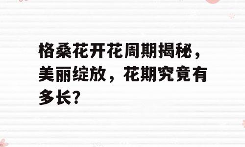 格桑花开花周期揭秘，美丽绽放，花期究竟有多长？