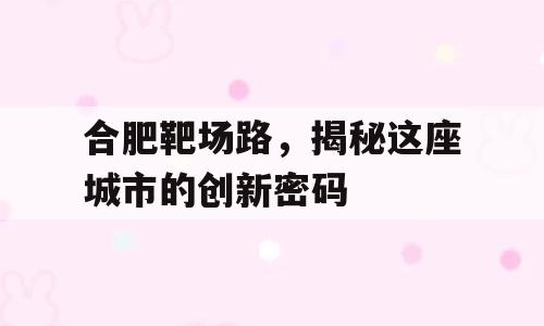 合肥靶场路，揭秘这座城市的创新密码