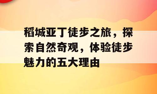 稻城亚丁徒步之旅，探索自然奇观，体验徒步魅力的五大理由
