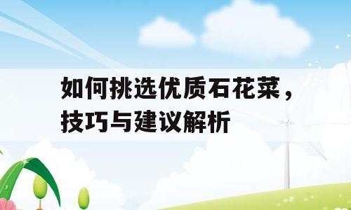 如何挑选优质石花菜，技巧与建议解析