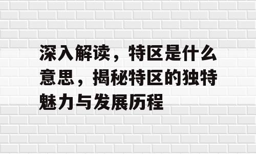 深入解读，特区是什么意思，揭秘特区的独特魅力与发展历程