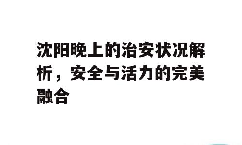 沈阳晚上的治安状况解析，安全与活力的完美融合