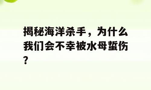 揭秘海洋杀手，为什么我们会不幸被水母蜇伤？