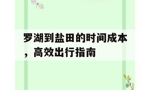 罗湖到盐田的时间成本，高效出行指南