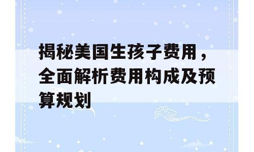 揭秘美国生孩子费用，全面解析费用构成及预算规划