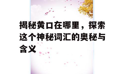 揭秘黄口在哪里，探索这个神秘词汇的奥秘与含义
