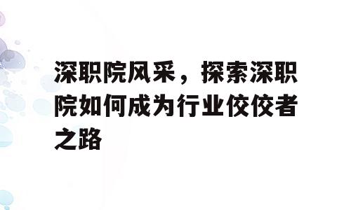 深职院风采，探索深职院如何成为行业佼佼者之路