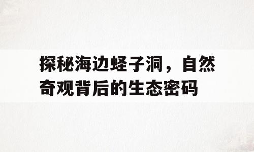 探秘海边蛏子洞，自然奇观背后的生态密码