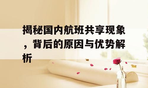 揭秘国内航班共享现象，背后的原因与优势解析