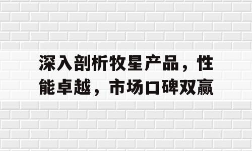 深入剖析牧星产品，性能卓越，市场口碑双赢