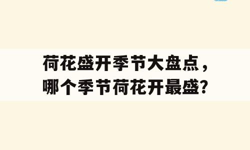 荷花盛开季节大盘点，哪个季节荷花开最盛？