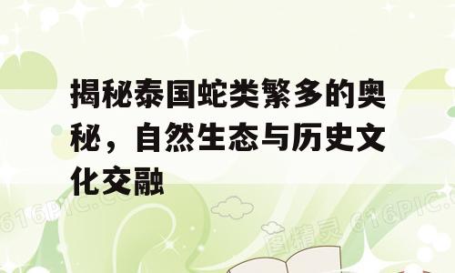 揭秘泰国蛇类繁多的奥秘，自然生态与历史文化交融