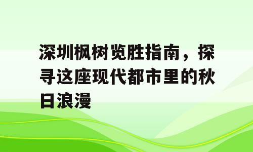 深圳枫树览胜指南，探寻这座现代都市里的秋日浪漫