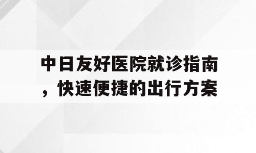 中日友好医院就诊指南，快速便捷的出行方案