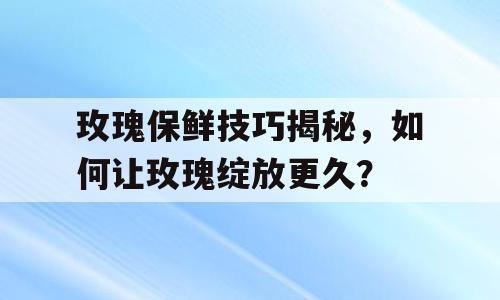 玫瑰保鲜技巧揭秘，如何让玫瑰绽放更久？