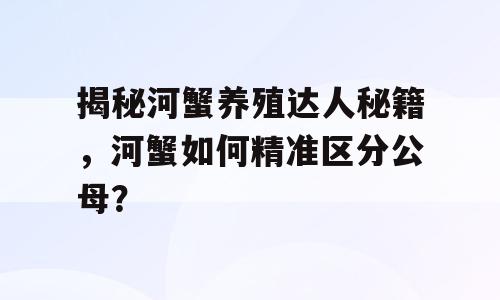 揭秘河蟹养殖达人秘籍，河蟹如何精准区分公母？
