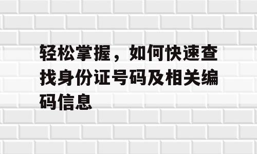 轻松掌握，如何快速查找身份证号码及相关编码信息