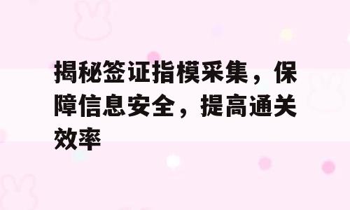 揭秘签证指模采集，保障信息安全，提高通关效率