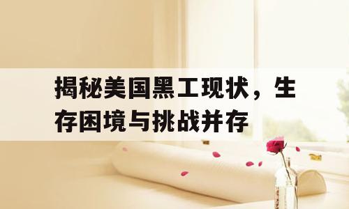 揭秘美国黑工现状，生存困境与挑战并存