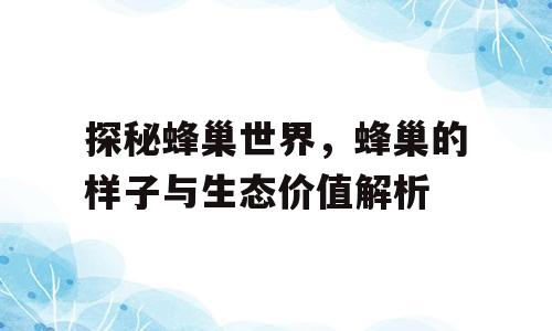探秘蜂巢世界，蜂巢的样子与生态价值解析