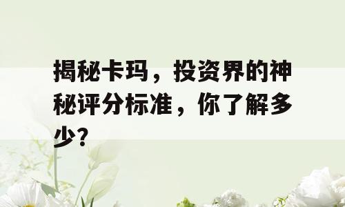 揭秘卡玛，投资界的神秘评分标准，你了解多少？