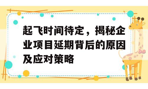 起飞时间待定，揭秘企业项目延期背后的原因及应对策略