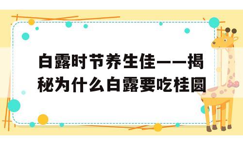 白露时节养生佳——揭秘为什么白露要吃桂圆