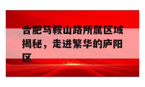 合肥马鞍山路所属区域揭秘，走进繁华的庐阳区