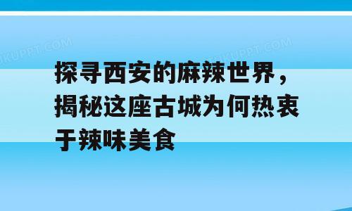 探寻西安的麻辣世界，揭秘这座古城为何热衷于辣味美食