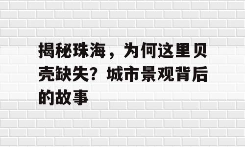 揭秘珠海，为何这里贝壳缺失？城市景观背后的故事