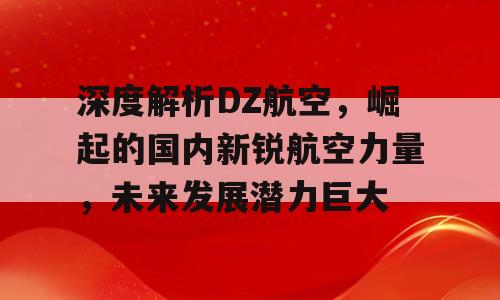 深度解析DZ航空，崛起的国内新锐航空力量，未来发展潜力巨大