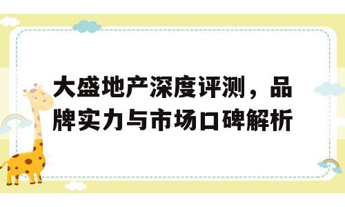 大盛地产深度评测，品牌实力与市场口碑解析