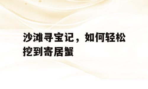 沙滩寻宝记，如何轻松挖到寄居蟹