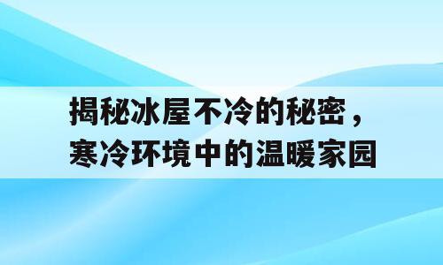 揭秘冰屋不冷的秘密，寒冷环境中的温暖家园