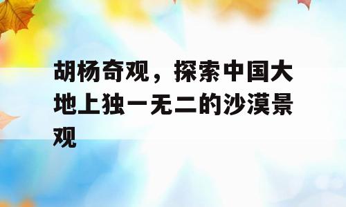 胡杨奇观，探索中国大地上独一无二的沙漠景观