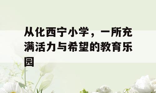 从化西宁小学，一所充满活力与希望的教育乐园