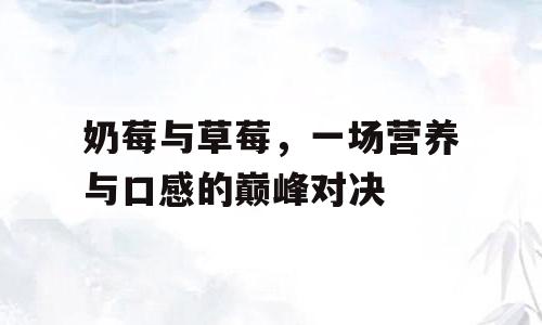 奶莓与草莓，一场营养与口感的巅峰对决