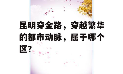 昆明穿金路，穿越繁华的都市动脉，属于哪个区？