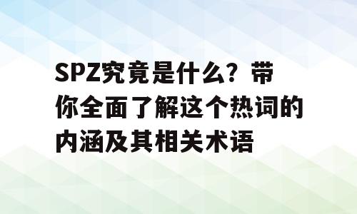 SPZ究竟是什么？带你全面了解这个热词的内涵及其相关术语