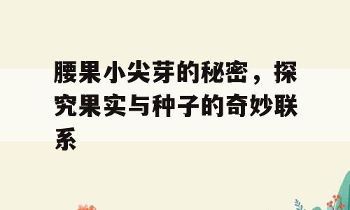 腰果小尖芽的秘密，探究果实与种子的奇妙联系