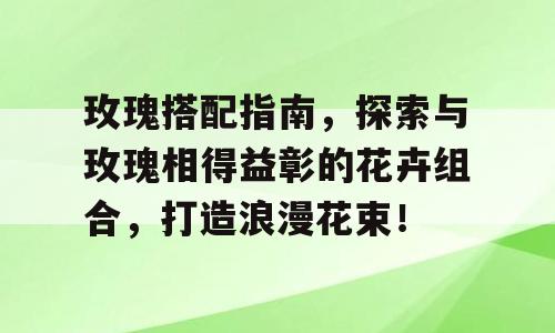 玫瑰搭配指南，探索与玫瑰相得益彰的花卉组合，打造浪漫花束！