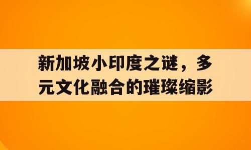 新加坡小印度之谜，多元文化融合的璀璨缩影