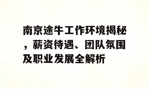 南京途牛工作环境揭秘，薪资待遇、团队氛围及职业发展全解析