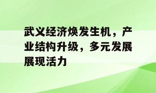 武义经济焕发生机，产业结构升级，多元发展展现活力