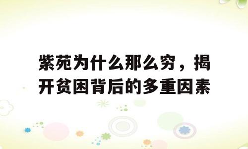 紫苑为什么那么穷，揭开贫困背后的多重因素
