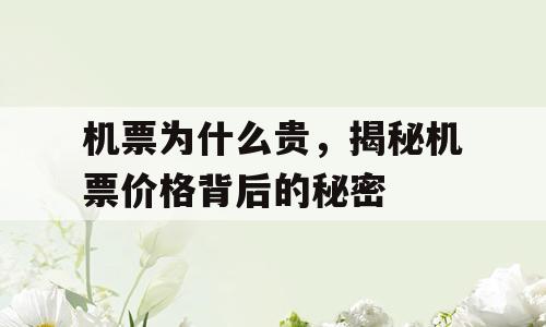 机票为什么贵，揭秘机票价格背后的秘密