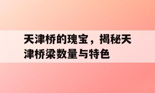 天津桥的瑰宝，揭秘天津桥梁数量与特色