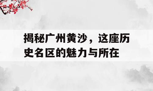 揭秘广州黄沙，这座历史名区的魅力与所在