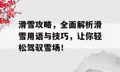 滑雪攻略，全面解析滑雪用语与技巧，让你轻松驾驭雪场！