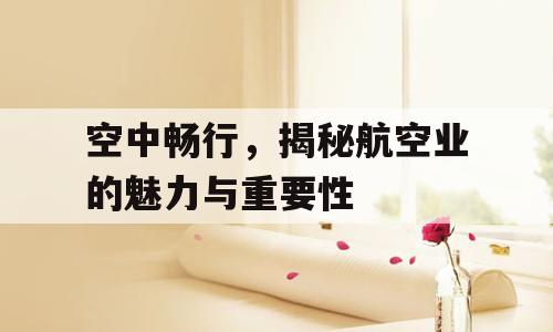 空中畅行，揭秘航空业的魅力与重要性